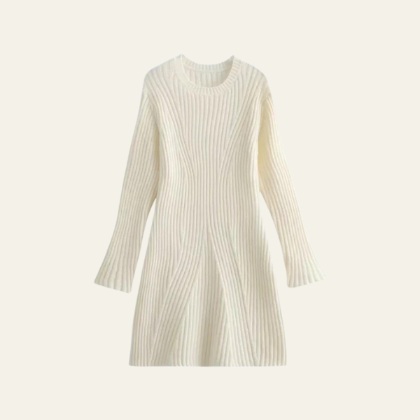 The Aria Ribbed Knit Mini Dress