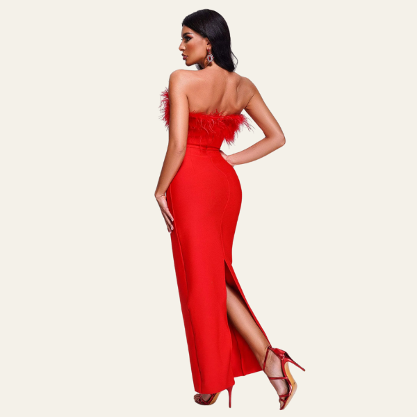The St. Moritz Feathered Evening Maxi Dress